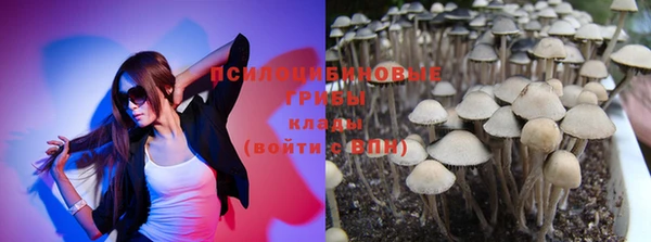 дживик Козельск