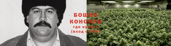 дживик Козельск