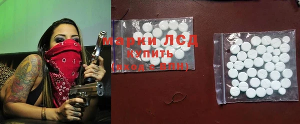 дживик Козельск