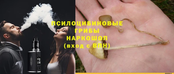 ECSTASY Козловка