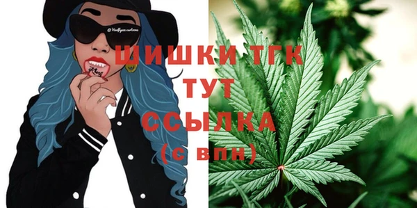 дживик Козельск